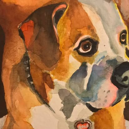 Close watercolor portrait of a brown and white dog.